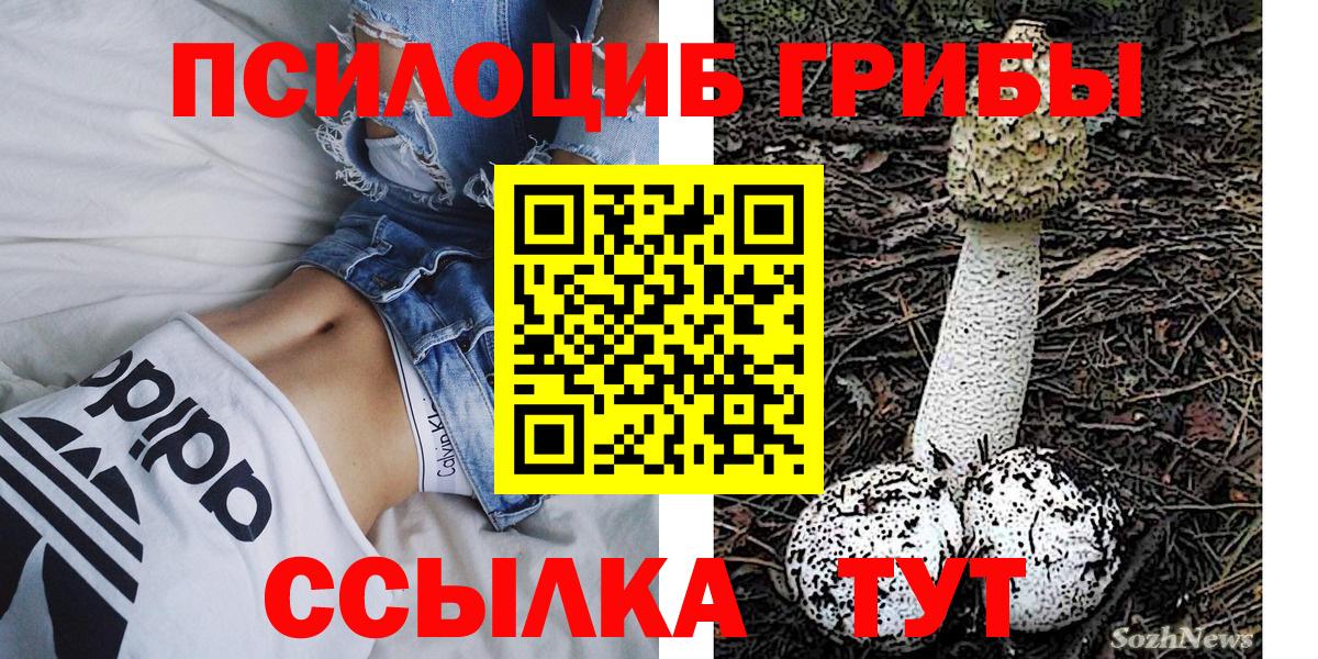 Псилоцибиновые грибы Cubensis Старый Оскол
