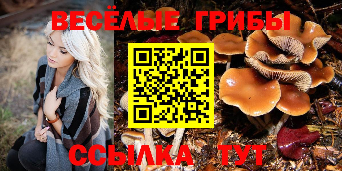 Старый Оскол  Псилоцибиновые грибы мицелий  Вход с VPN  Псилоцибиновые грибы прущие грибы 